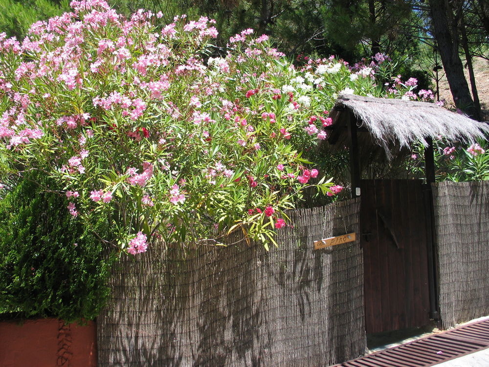 Ddg Retreat Hotel Casares Exterior photo